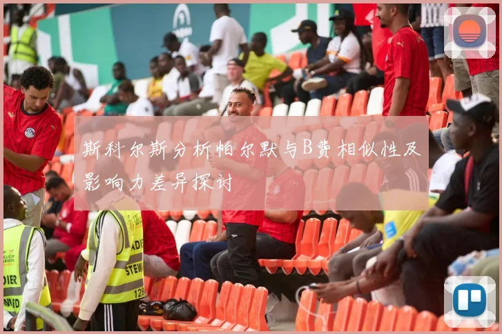 斯科尔斯分析帕尔默与B费相似性及影响力差异探讨