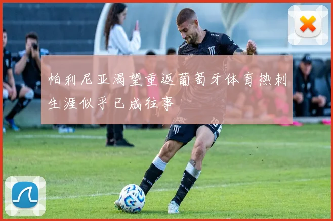 帕利尼亚渴望重返葡萄牙体育热刺生涯似乎已成往事