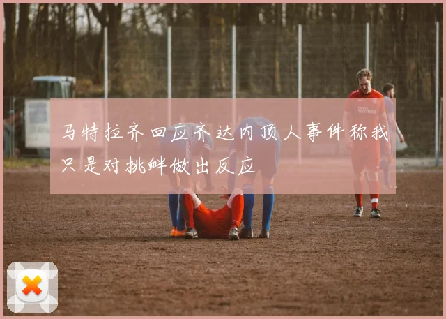马特拉齐回应齐达内顶人事件称我只是对挑衅做出反应